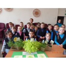 Mokyklinis projektas „Mano žalioji palangė“